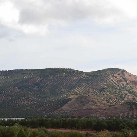 Arquillos Finca El Vizconde Naturaleza Con Tus Hijos מראה חיצוני תמונה