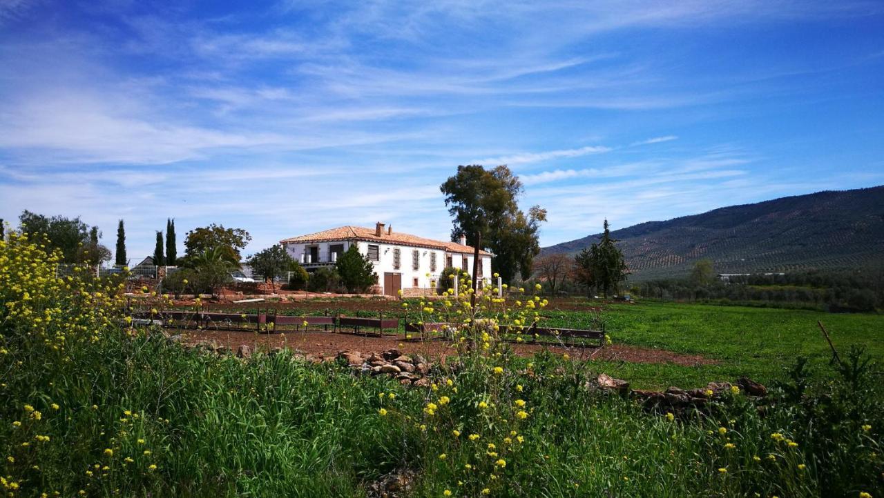 Arquillos Finca El Vizconde Naturaleza Con Tus Hijos מראה חיצוני תמונה