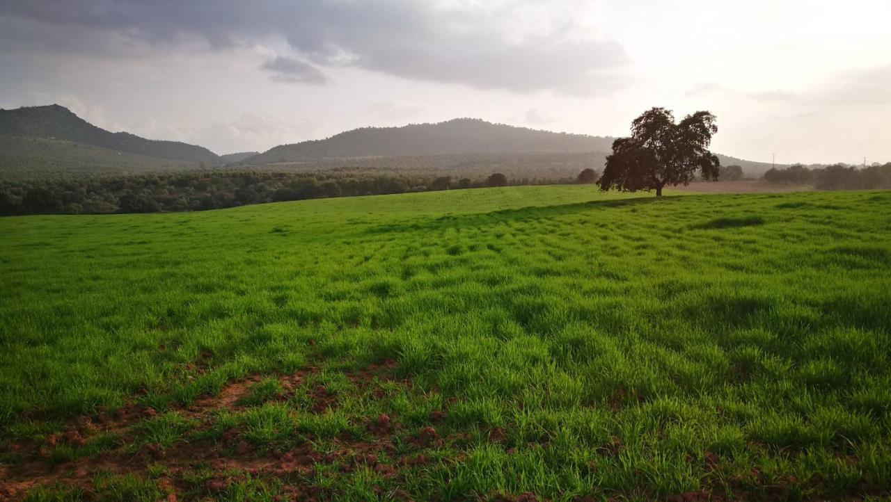 Arquillos Finca El Vizconde Naturaleza Con Tus Hijos מראה חיצוני תמונה