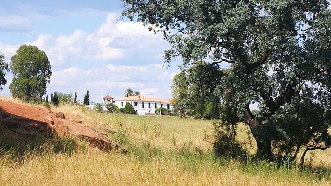 Arquillos Finca El Vizconde Naturaleza Con Tus Hijos מראה חיצוני תמונה