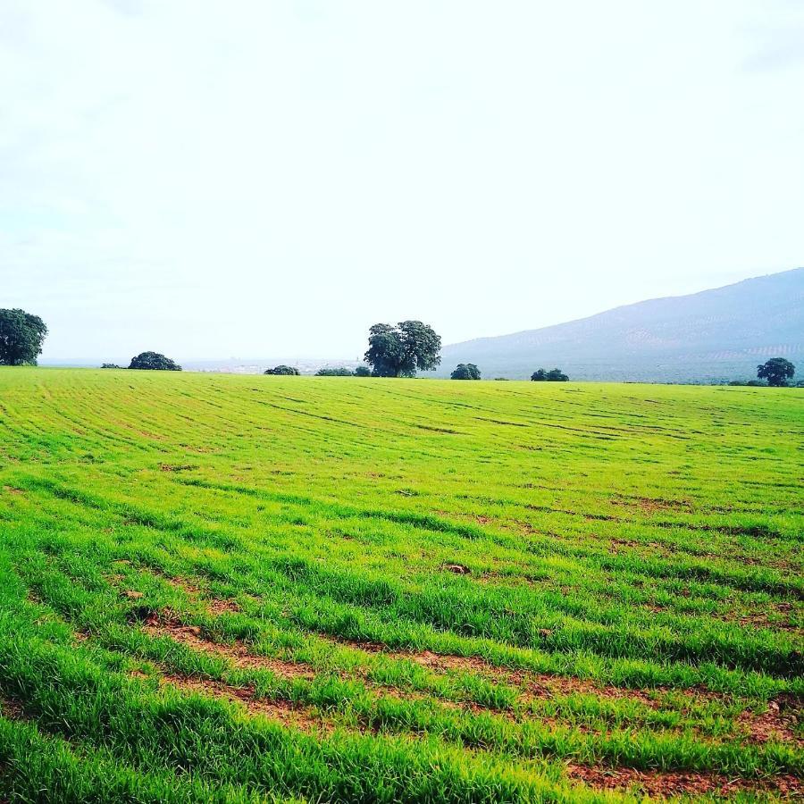 Arquillos Finca El Vizconde Naturaleza Con Tus Hijos מראה חיצוני תמונה
