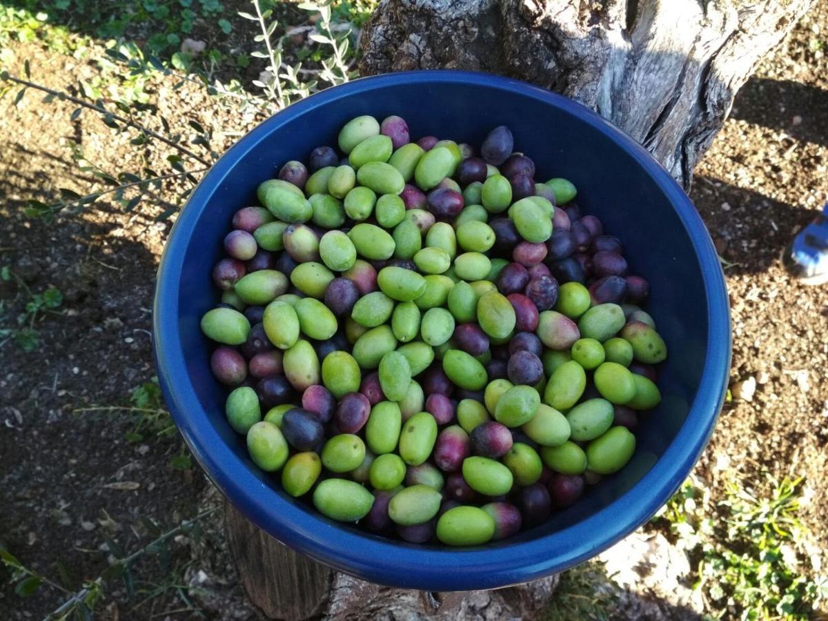 Arquillos Finca El Vizconde Naturaleza Con Tus Hijos מראה חיצוני תמונה