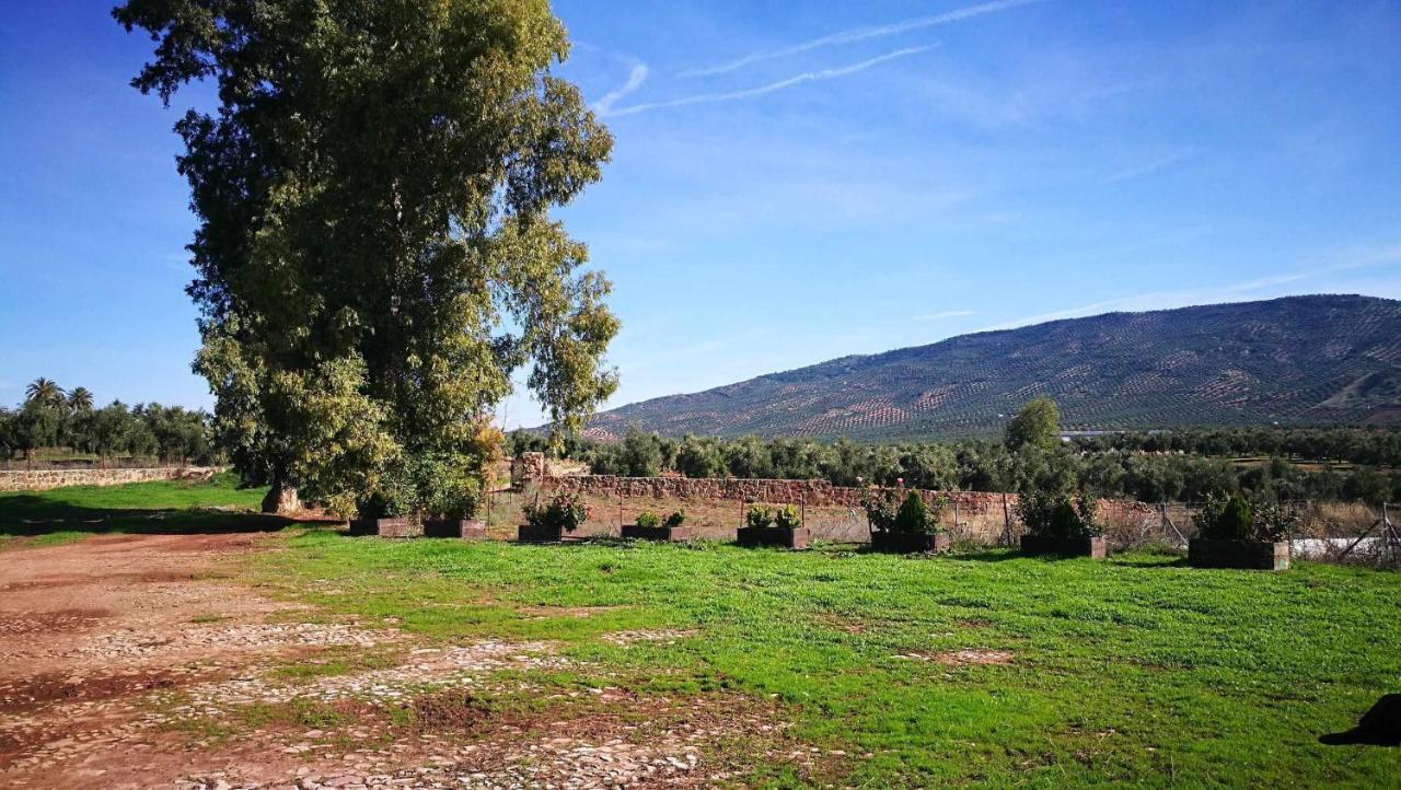 Arquillos Finca El Vizconde Naturaleza Con Tus Hijos מראה חיצוני תמונה