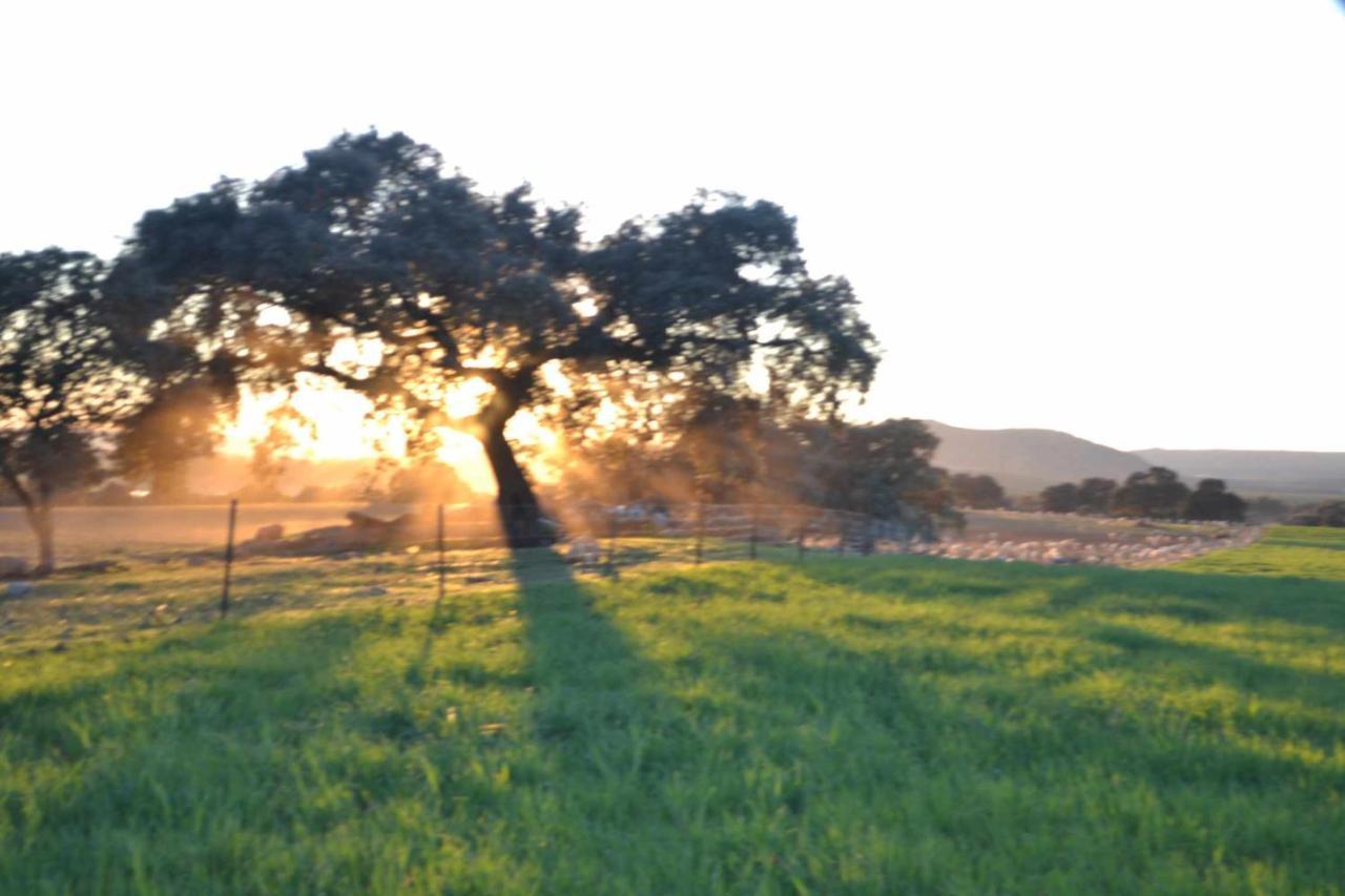 Arquillos Finca El Vizconde Naturaleza Con Tus Hijos מראה חיצוני תמונה