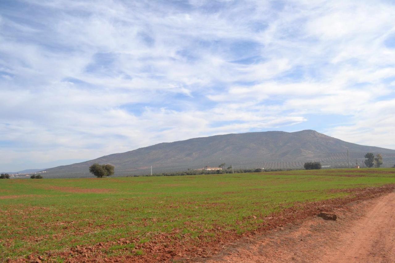 Arquillos Finca El Vizconde Naturaleza Con Tus Hijos מראה חיצוני תמונה