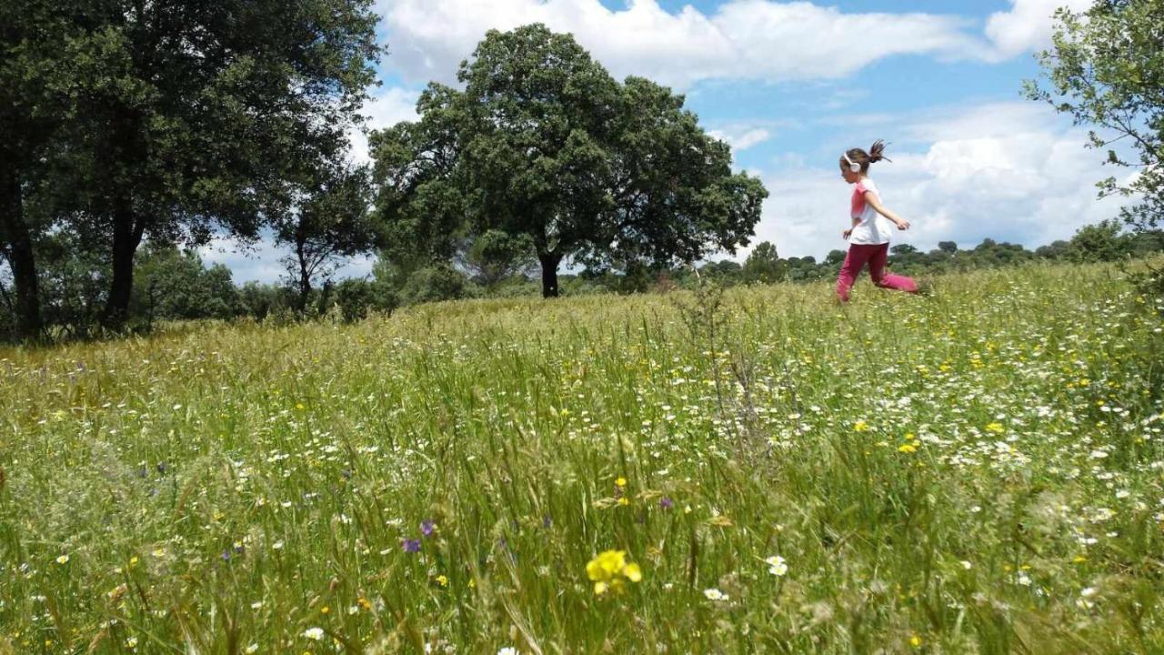Arquillos Finca El Vizconde Naturaleza Con Tus Hijos מראה חיצוני תמונה