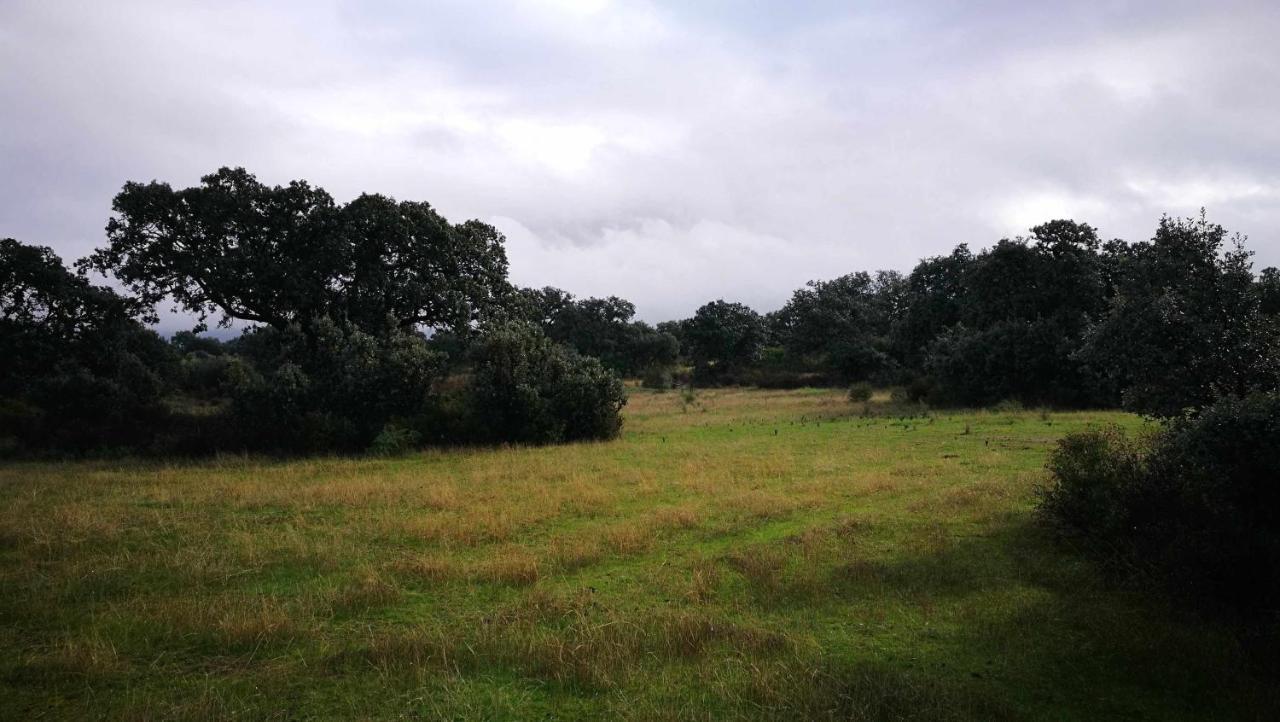 Arquillos Finca El Vizconde Naturaleza Con Tus Hijos מראה חיצוני תמונה