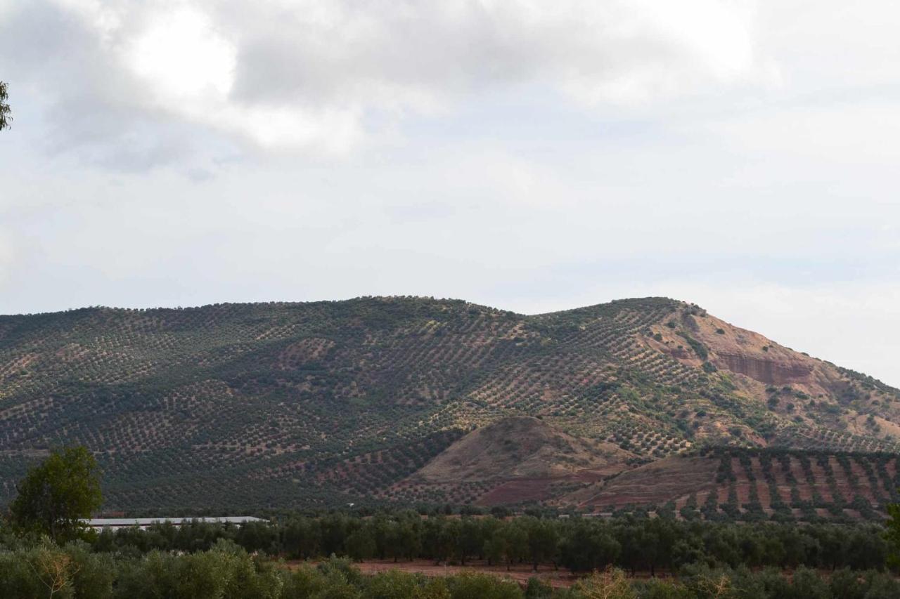 Arquillos Finca El Vizconde Naturaleza Con Tus Hijos מראה חיצוני תמונה