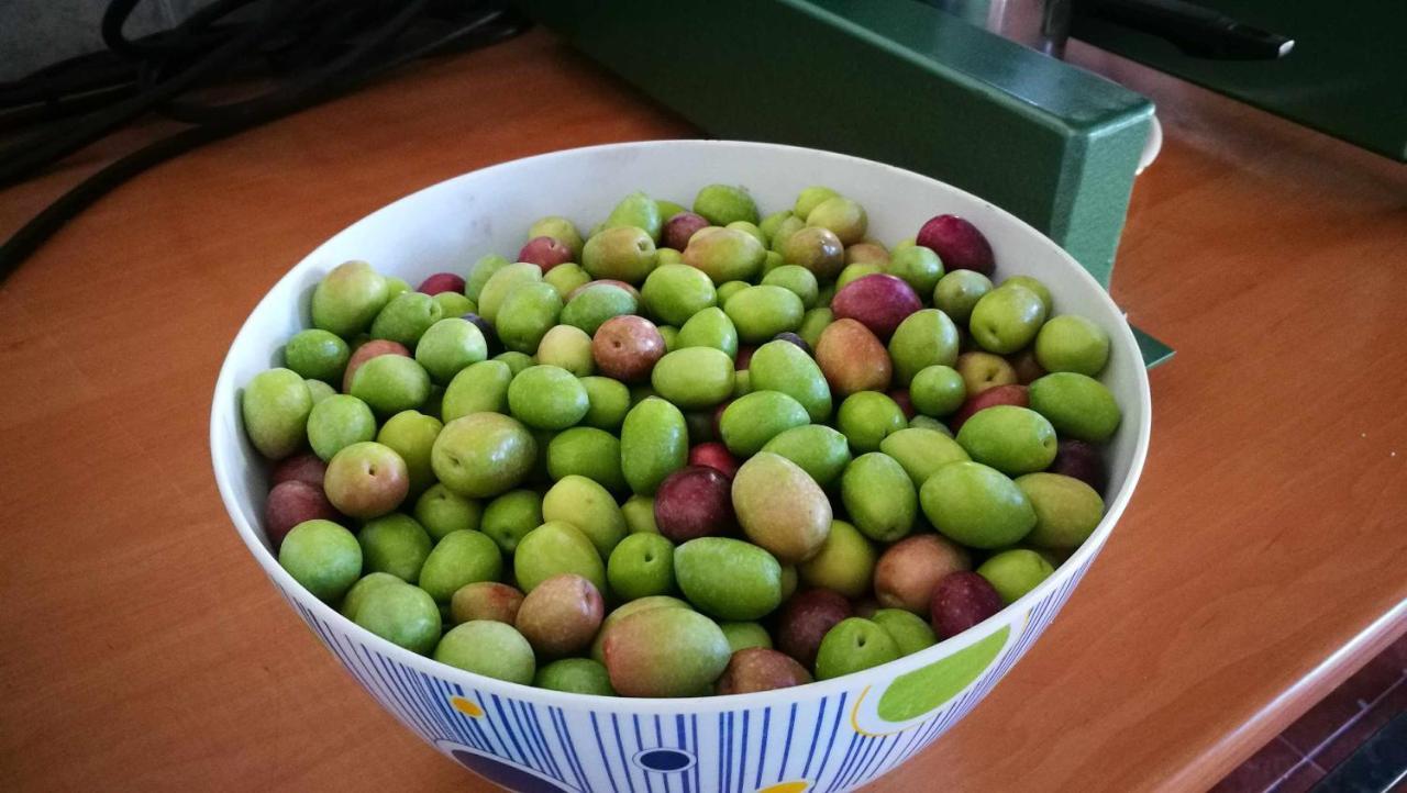 Arquillos Finca El Vizconde Naturaleza Con Tus Hijos מראה חיצוני תמונה