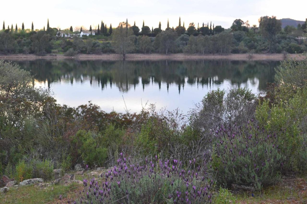 Arquillos Finca El Vizconde Naturaleza Con Tus Hijos מראה חיצוני תמונה
