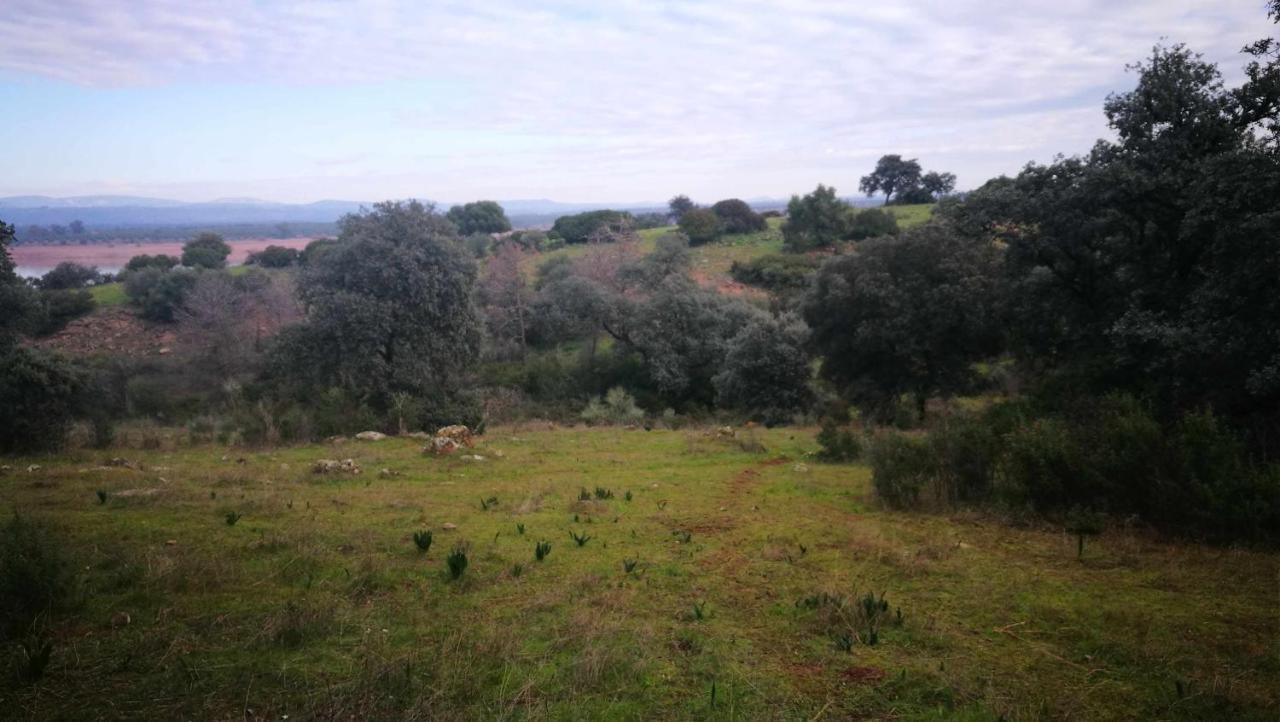 Arquillos Finca El Vizconde Naturaleza Con Tus Hijos מראה חיצוני תמונה
