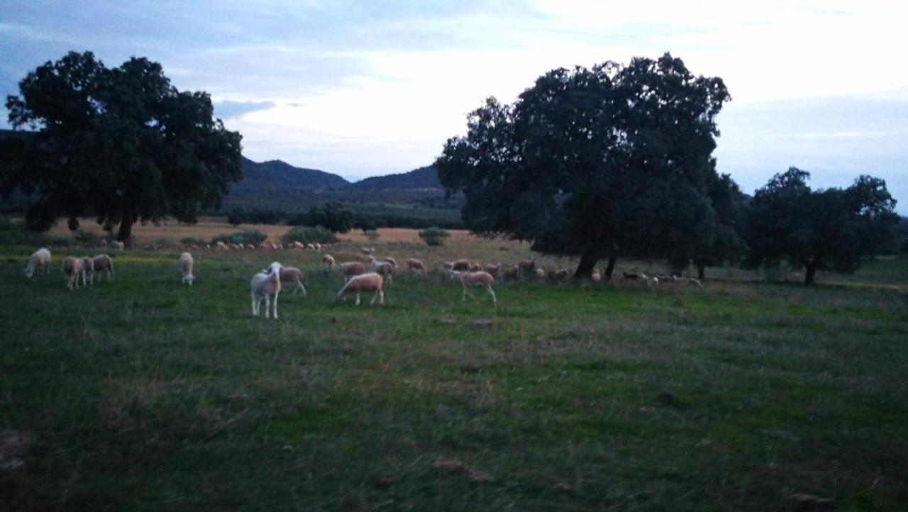 Arquillos Finca El Vizconde Naturaleza Con Tus Hijos מראה חיצוני תמונה