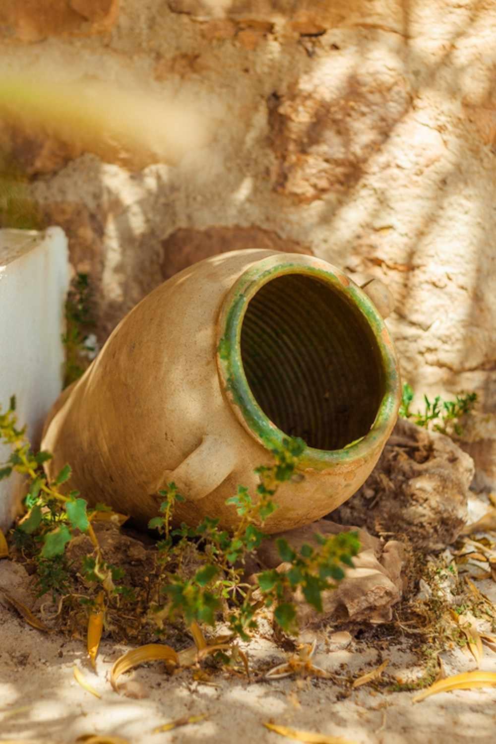 Arquillos Finca El Vizconde Naturaleza Con Tus Hijos מראה חיצוני תמונה